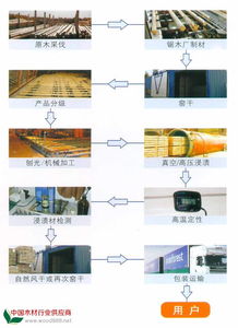 中木商网网络 构建木材行业数字生态，点亮产业升级之路